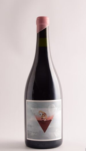 Nodo Malbec de Gualtallary