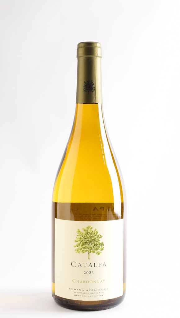 catalpa 2023 chardonnay