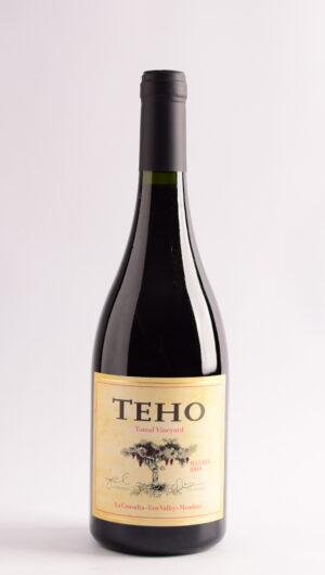 Teho Malbec 2019