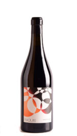 RAQUIS LOS PARAJES GUALTALLARY 2021