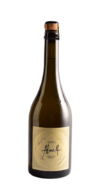 ESPUMANTE ALMA 4 CHARDONNAY 2021