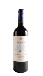 CALLEJON DEL CRIMEN SV MALBEC CEPILLO 2020