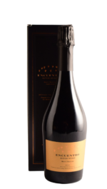 ESPUMANTE ENCUENTRO RUTINI PINOT NOIR BRUT NATURE 2022