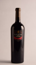 LUCA BESO DE DANTE 2019