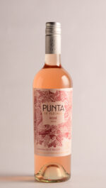 PUNTA DE FLECHAS ROSADO 2024