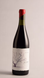 MACOLLO BEQUIGNOL 2024