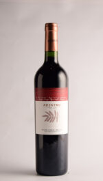 ADENTRO MALBEC 2020