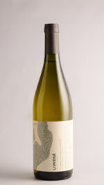 LIVVERA MALVASIA 2024