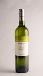 ADENTRO TORRONTES 2023