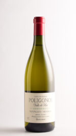 POLIGONOS TUPUNGATO SAUVIGNON BLANC 2024