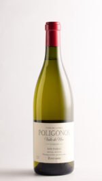 POLIGONOS VERDEJO SAN PABLO 2024