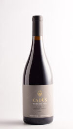 CADUS TUNUYAN CRIOLLA CHICA