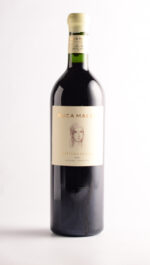 RUCA MALEN CAPITULO CUATRO 2021