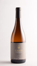 CADUS TUNUYAN NARANJO 2023