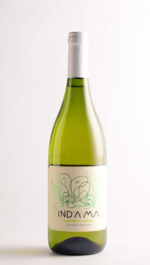INDAMA CHARDONNAY 2023