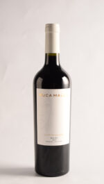 RUCA MALEN CAPITULO DOS MALBEC 2023