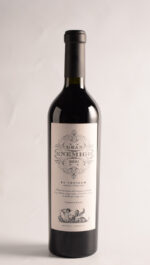 GRAN ENEMIGO CEPILLO 2022