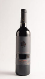 CICCHITTI MALBEC EDICION LIMITADA 2022