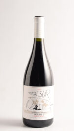 ALTO LAS HOMIGAS VISION SUR 2023